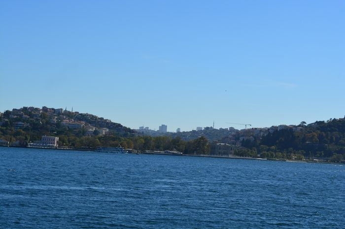 Scruples against profiting