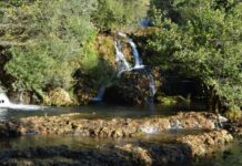 The Persian Religious Leader and the Sultan’s Generosity