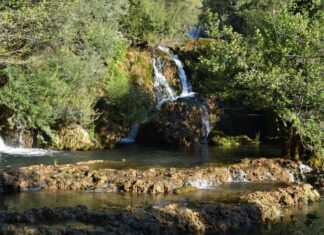 The Persian Religious Leader and the Sultan’s Generosity